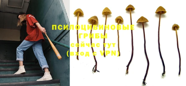 ПСИЛОЦИБИНОВЫЕ ГРИБЫ Кинешма