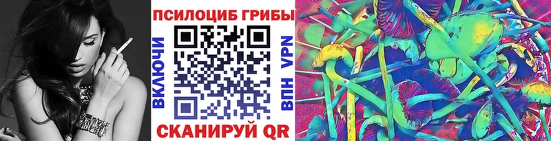 Псилоцибиновые грибы Psilocybe Фокино